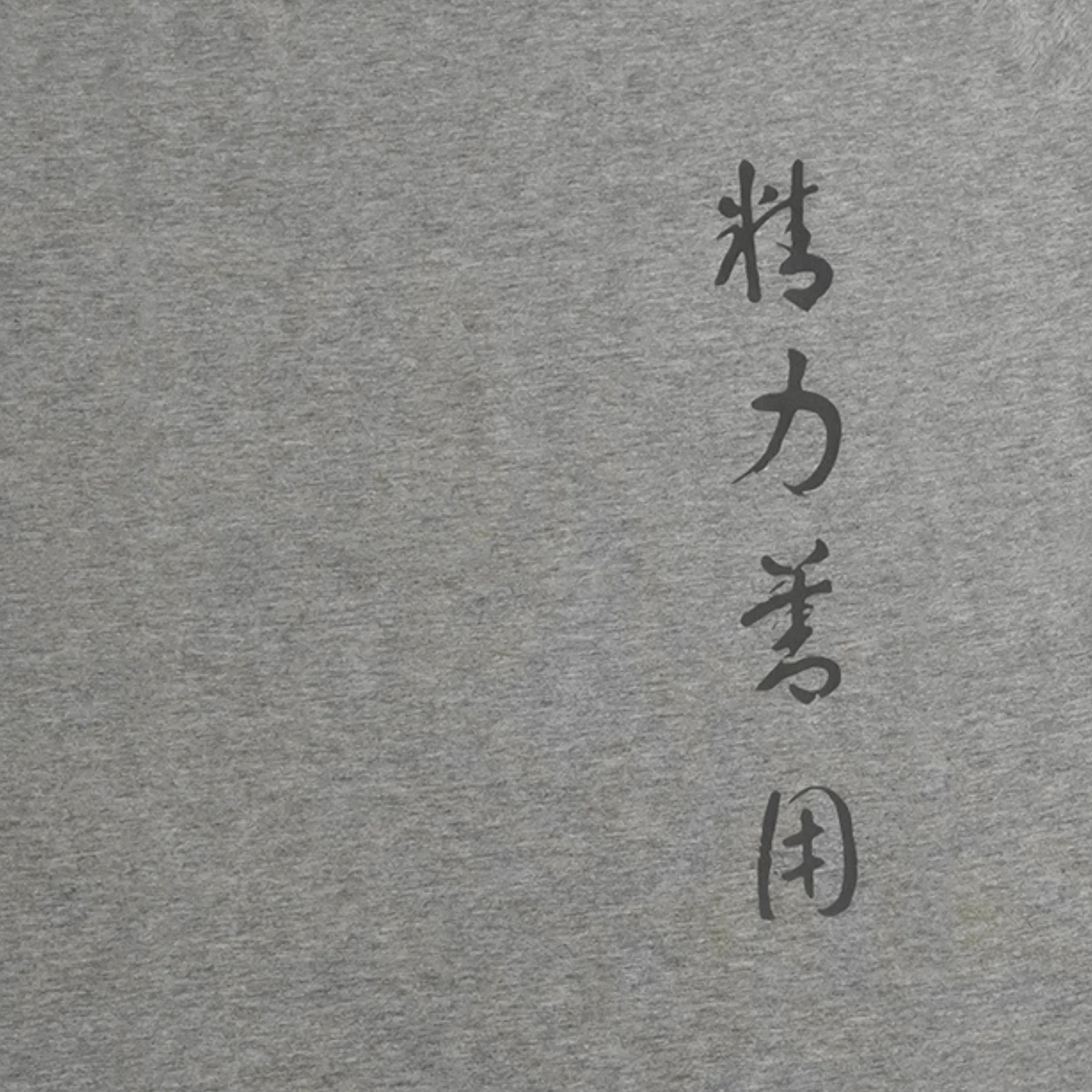kanji seiryoku zenyo t-shirt - Image 4