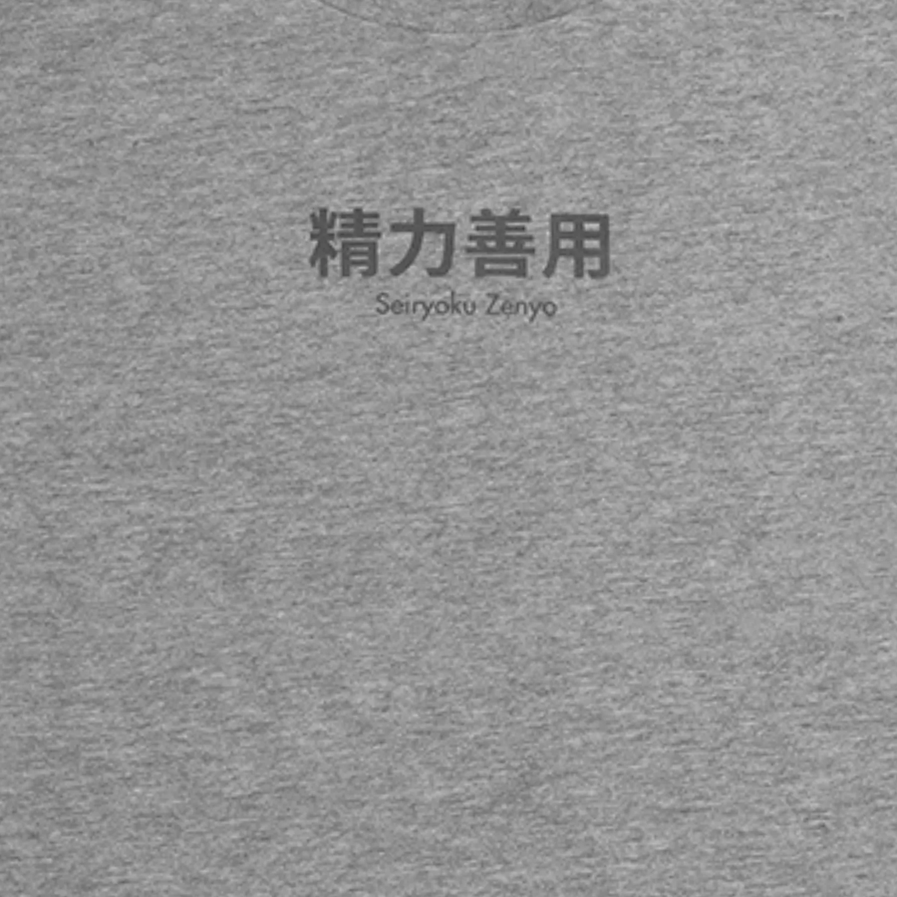 seiryoku zenyo t-shirt - Image 4